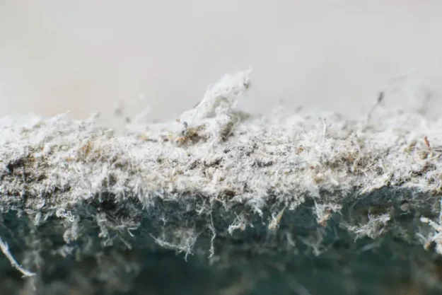 asbestos awareness liverpool